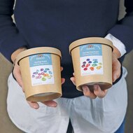 Grimm's houten Ringen - Rainbow | Speel je Wijs