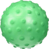 Super Ball Nobbie 20cm