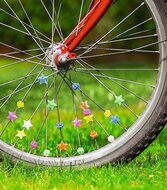 Moses Spaakdecoratie  | Speel je Wijs