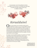 Het Dikke boek van alles wat leeft in het water (7+) | Speel je Wijs