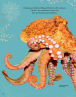 Het Dikke boek van alle Bijzondere Dieren (7+) | Speel je Wijs