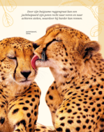 Het Dikke boek van alle Bijzondere Dieren (7+) | Speel je Wijs