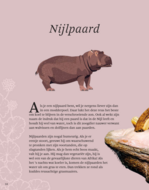 Het Dikke boek van alle Bijzondere Dieren (7+) | Speel je Wijs