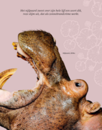 Het Dikke boek van alle Bijzondere Dieren (7+) | Speel je Wijs