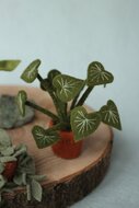 Atelier Pippilotta Poppenhuis 5 - Drie Kamerplanten | Speel je Wijs