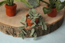 Atelier Pippilotta Poppenhuis 5 - Drie Kamerplanten | Speel je Wijs