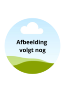 Haba 3-delige bestekset - Pinguin | Speel je Wijs