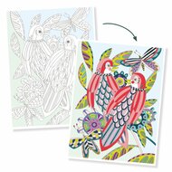 Djeco Kleurplaten - Birds 8+ | Speel je wijs