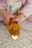 Rabbit & Friends Siliconen Zaklamp - Lion | Speel je Wijs