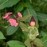 Atelier Pippilotta Springbalsemien | Speel je Wijs