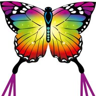 Vlinder Regenboog Vlieger | Speel je Wijs