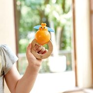 Hape Muziekset -Nature Band Rhythm Kit | Speel je Wijs