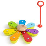 Hape Muziekset -Nature Band Rhythm Kit | Speel je Wijs