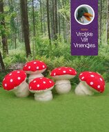 Vrolijke Viltvriendjes Paddenstoel Bolletjes | Speel je Wijs