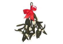 Gamcha - Mistletoe 100% wolvilt | Speel je Wijs