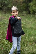 Great Pretenders Ridderpak - Legendary Knight Cape, Chest Plate &amp; Crown 4-6 jaar | Speel je Wijs
