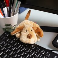 Sigikid Mini Knuffel Hond | Speel je Wijs