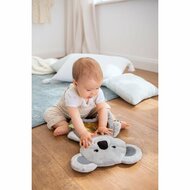 HABA Watermat / Speelkleed - Koala | Speel je wijs