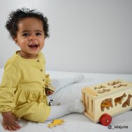 Bigjigs Vormenwagen Dieren | Speel je Wijs