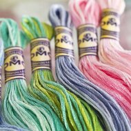 DMC Color Variations Splijtzijde / Borduurgaren | Speel je Wijs