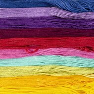 Creative Company Borduurgaren - Kleurrijk | Speel je Wijs