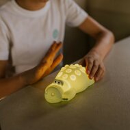 MARY&rsquo;S Siliconen Nachtlamp - Crocodile Night Light | Speel je Wijs
