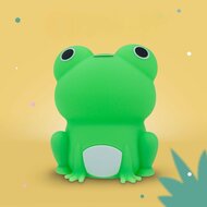 MARY&rsquo;S Siliconen Nachtlamp - Frog  | Speel je Wijs