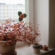 MUSHIE Spinner Toy - Spinner Dino | Speel je Wijs