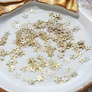 Ster Pailletten met Rijggaatje - Goud | Speel je Wijs