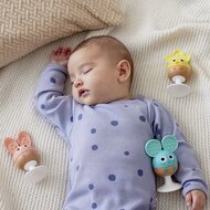 Hape Rammelaar set met zuignappen | Speel je Wijs