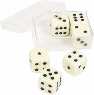 Dobbelsteen 6 stuks in doosje | Speel je Wijs