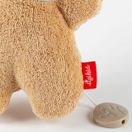 Sigikid Mini Muziekknuffel - Konijn Blue | Speel je Wijs