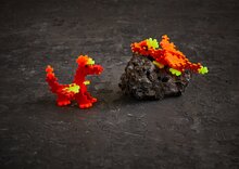 Plus Plus Fire Dragons 100 stuks - Tube | Speel je Wijs