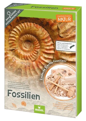 Moses Expeditie Natuur Uithakset Fossielen