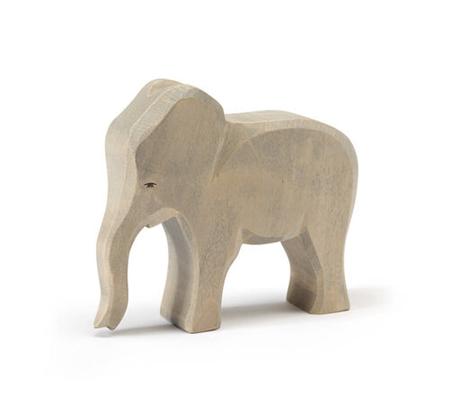 Ostheimer Olifant vrouwtje - Koe