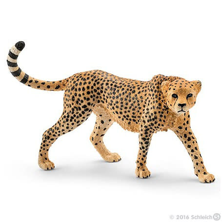 Schleich Jachtluipaard Vrouwtje 