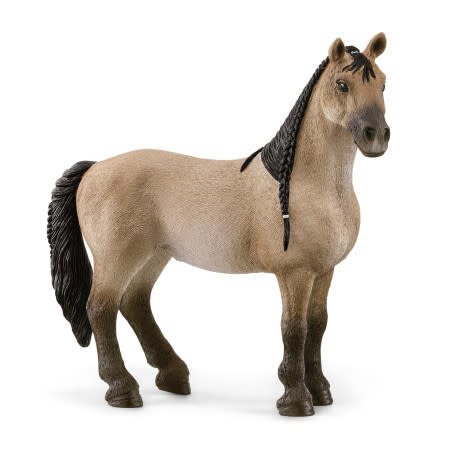 Schleich Criollo Definitivo Merrie