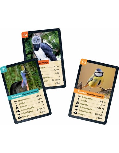 Spiegelburg - Kwartet Vogels