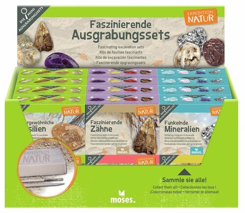 Moses Expeditie Natuur Mini Uithakset