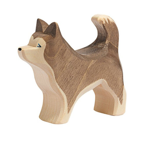 Ostheimer Husky Hond Staand Ostheimer Husky Hond Staand