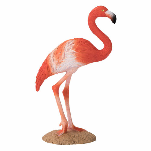 Mojo Wildlife Amerikaanse Flamingo