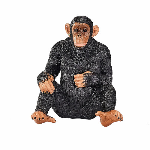 Mojo Wildlife Chimpansee