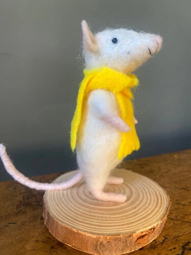 The Wool Family - Sunny de Muis