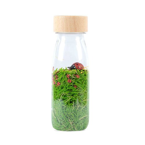 Petit Boum Sensorische fles - Sound Bottle Ladybirds