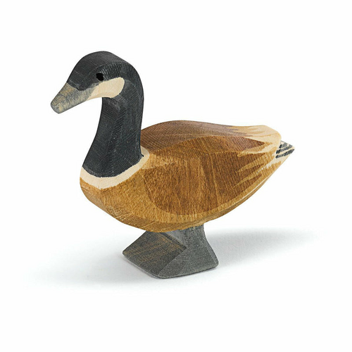 Ostheimer Canadese Gans Staand