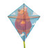 Janod Applepop - Vlieger Beer_